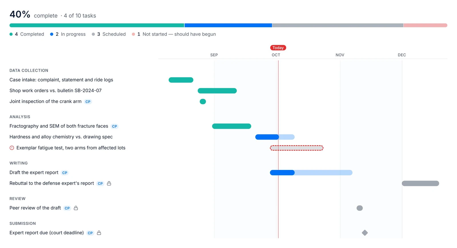 Case plan timeline: intake, testing and the expert report, with the court deadline as a milestone on the critical path and a late-starting test flagged