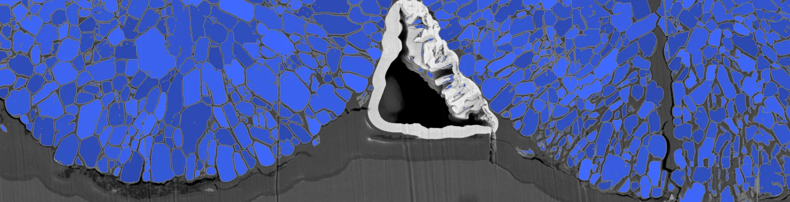 FIB-SEM cross-section through NMC811 cathode particles, with the particles segmented in blue